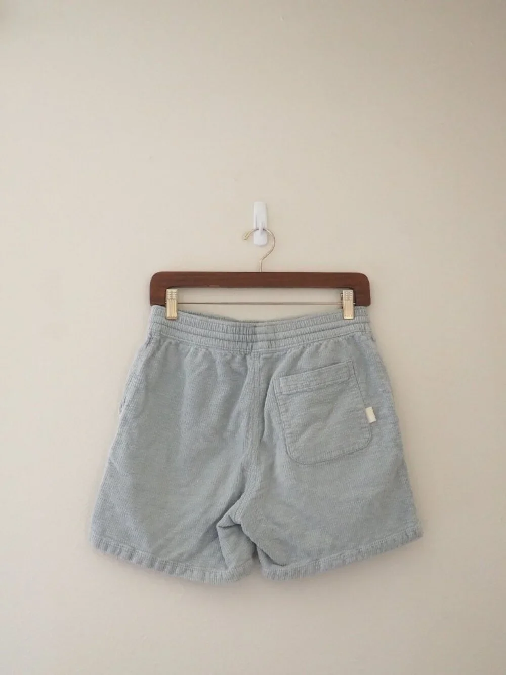 Urban Outfitters Corduroy Volley Shorts sz S